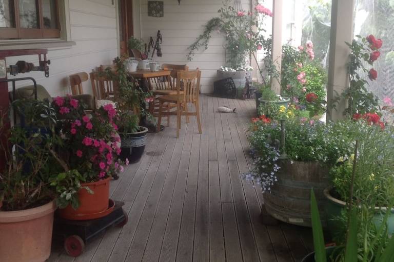 foto17