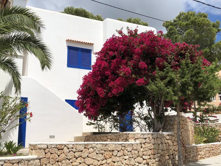 Villa  Cala Tarida