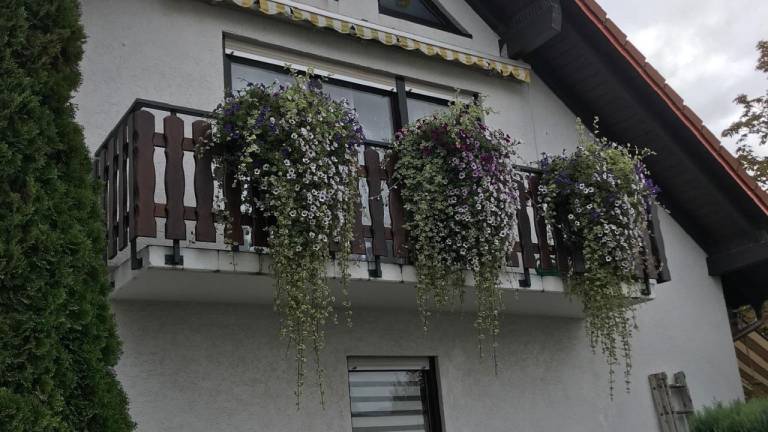 Ferienwohnung  Gau-Algesheim