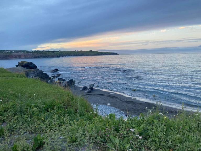 Cottage  Western Bay