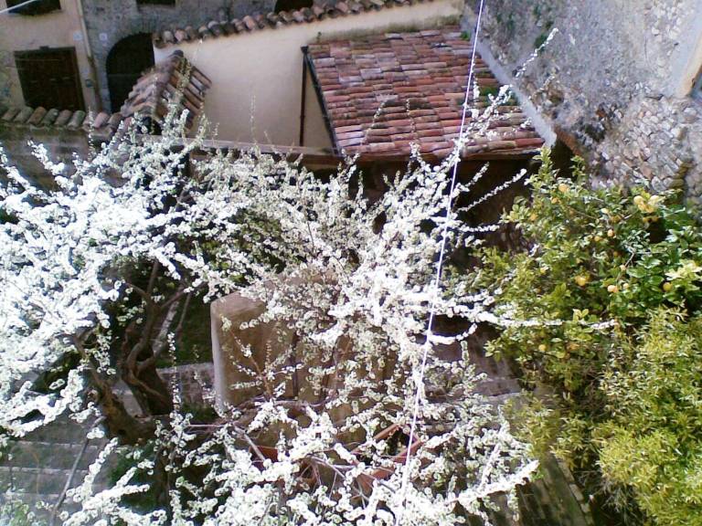 foto26