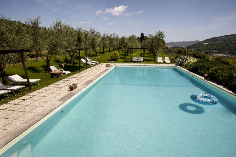 Fattoria di Poggiopiano: SULL' OLIVETA in Bagno a Ripoli