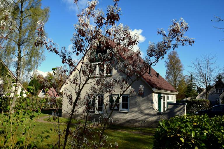 foto10