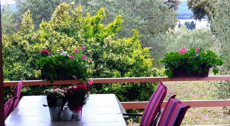 Lovely rental apartment | Next to the beach | Pets allowed in Biograd na Moru