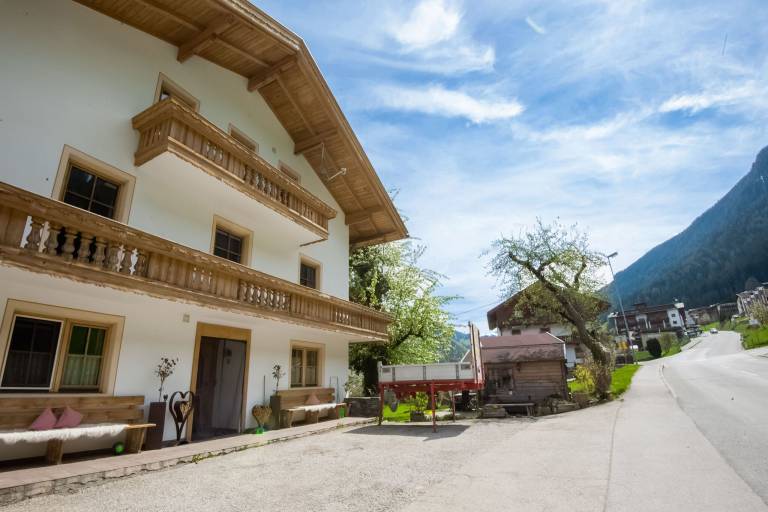 Ferienwohnung in Hainzenberg, Zillertal Arena - größtes Skigebiet im Zillertal für max. 11 Gäste - nahe Skigebiet