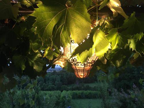 foto9