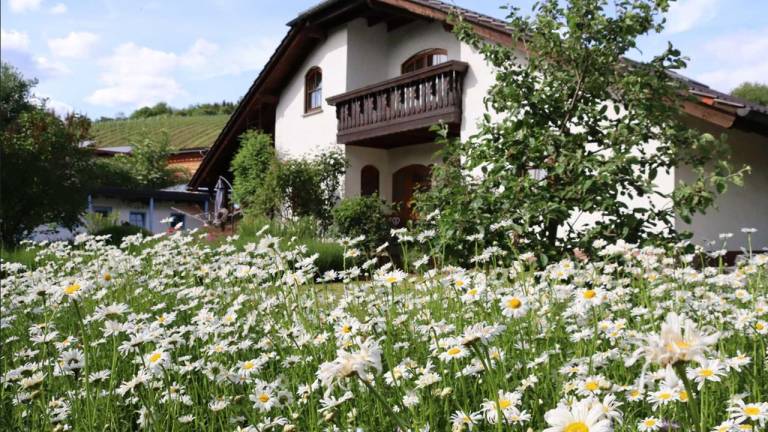 Ferienwohnung  Gensingen