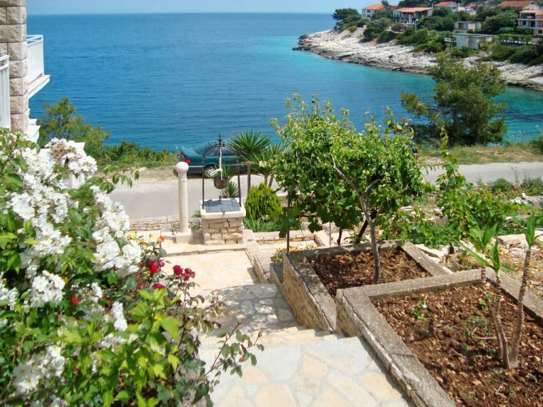 foto10