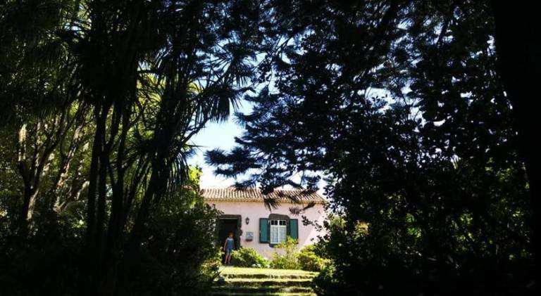 foto11