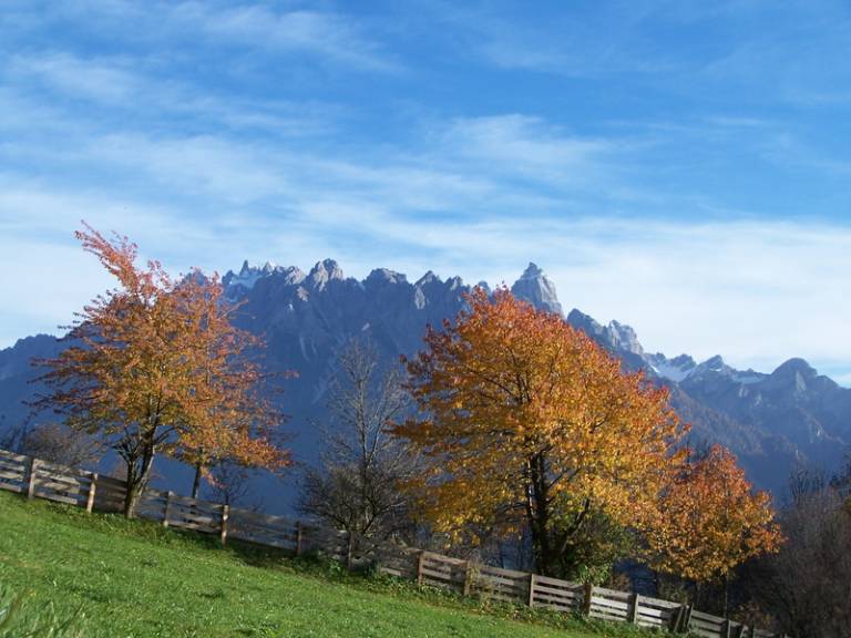 foto12