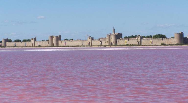 House with pool in Aigues-Mortes