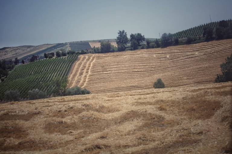 foto33
