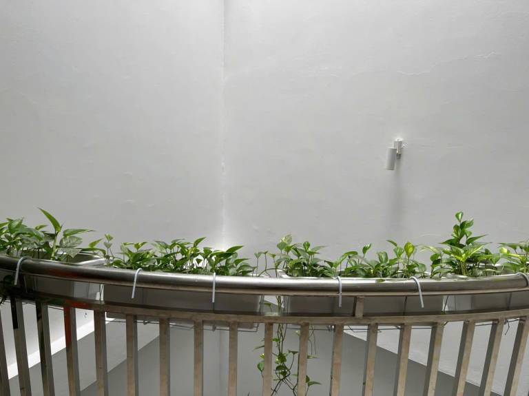 foto7