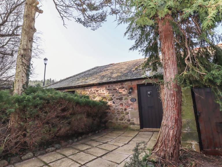 Cottage Wooler
