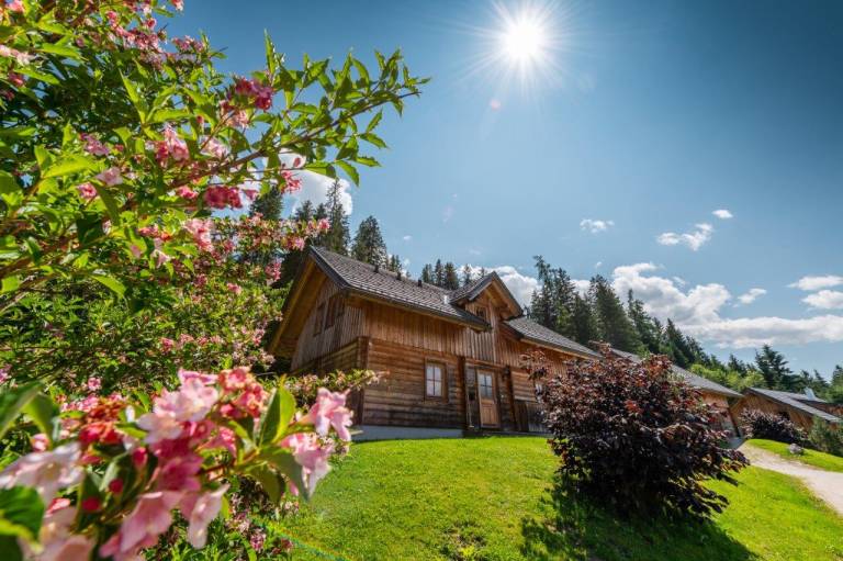 Ferienhaus Pruggern