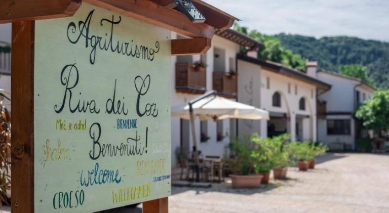 Beautiful farm with BBQ, yard & patio | Good for workation | Pet-friendly in Treviso