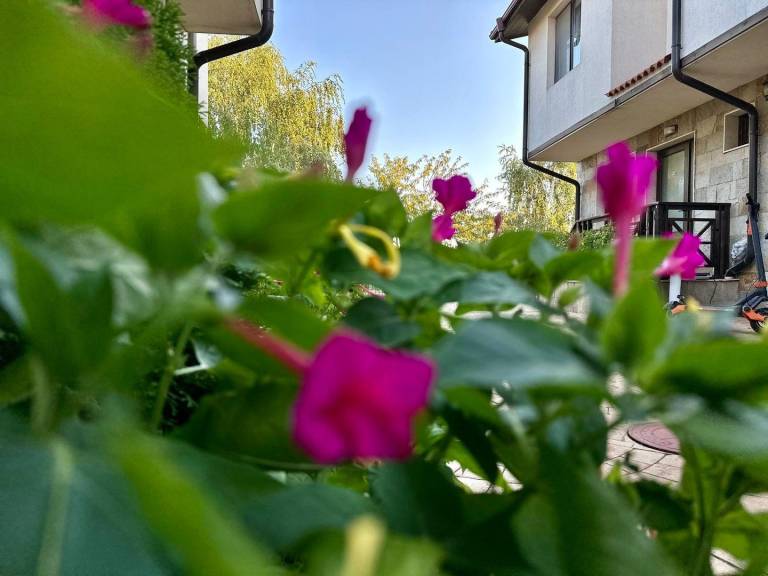 foto44