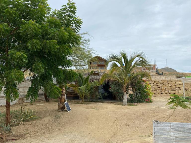 House  Organos