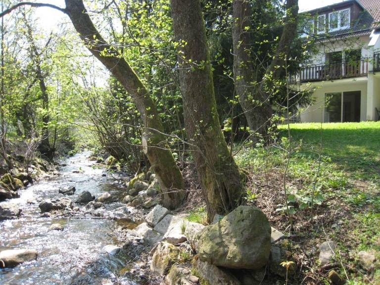 Ferienwohnung Braunlage