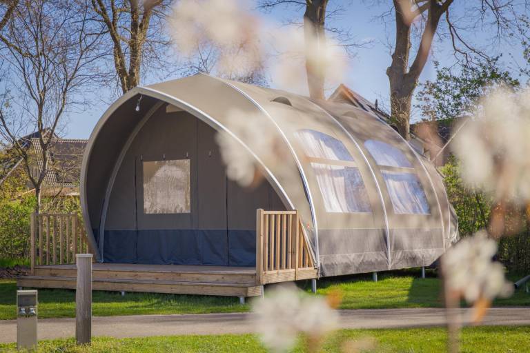 Bungalow Raalte