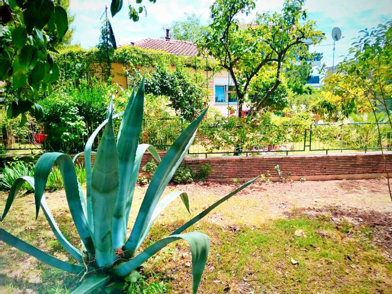 Ferienhaus in Banjole, Kroatien für max. 4 Personen Ferienhaus in Banjole, Kroatien für max. 4 Personen