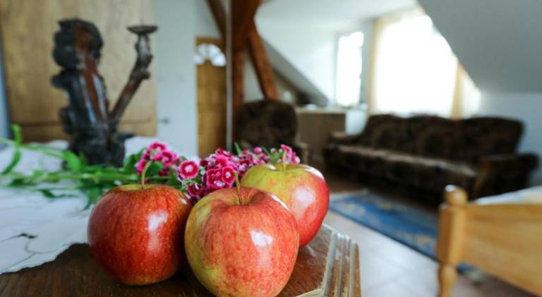 Agroturystyka Ostróda