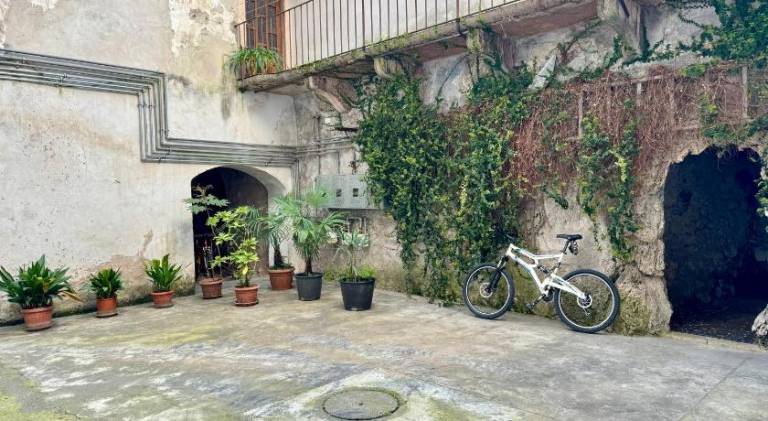 Pleasant holiday apartment | Dogs allowed — photo 4