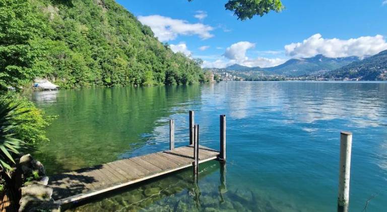 Holiday apartment with 1 room for 3 persons in Paradiso