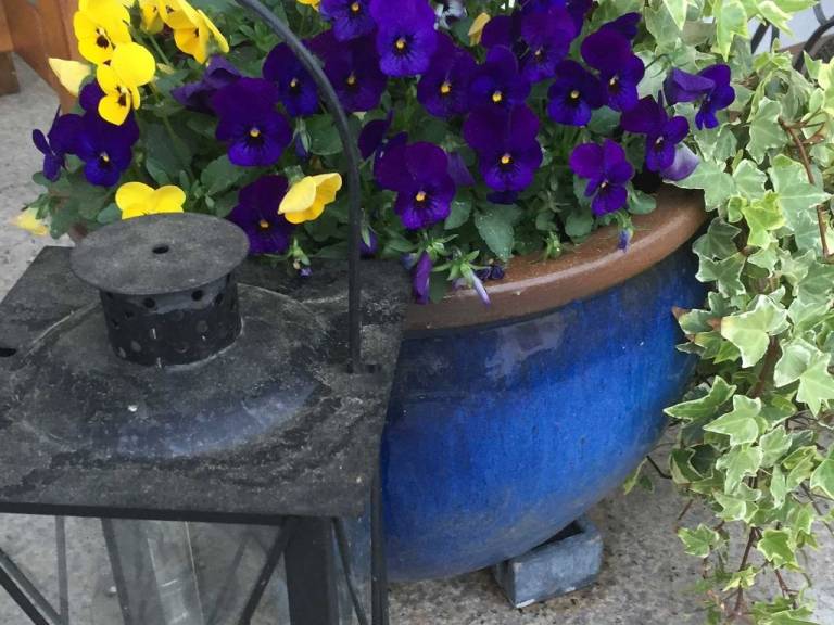 foto20