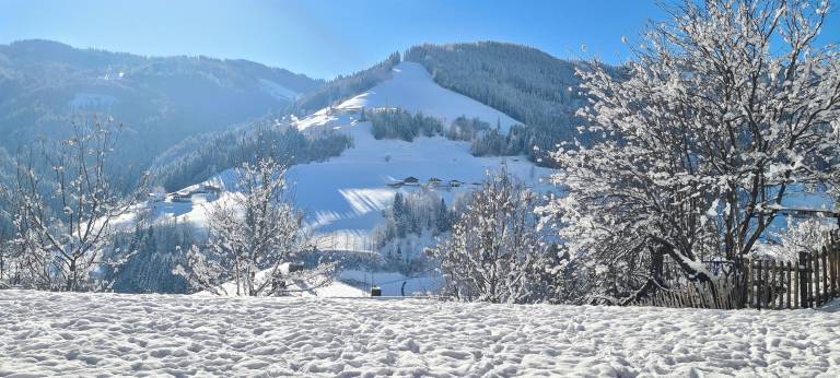 Royal Mountain Lodge — photo 4