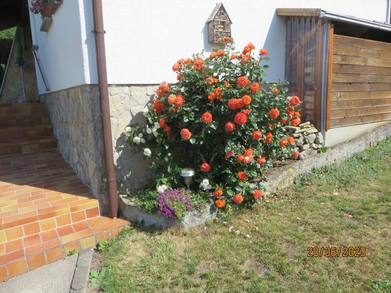 foto13