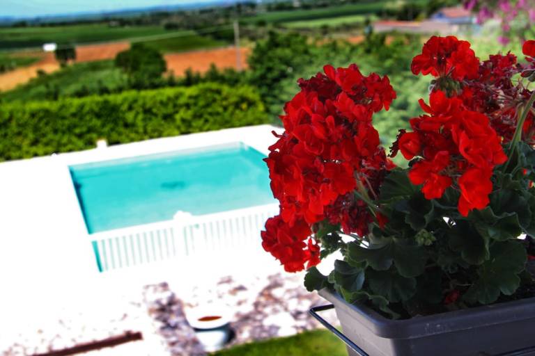 Bed & Breakfast Gravina in Puglia