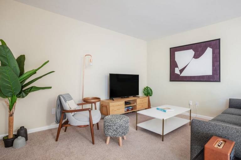 Apartment Mountain View