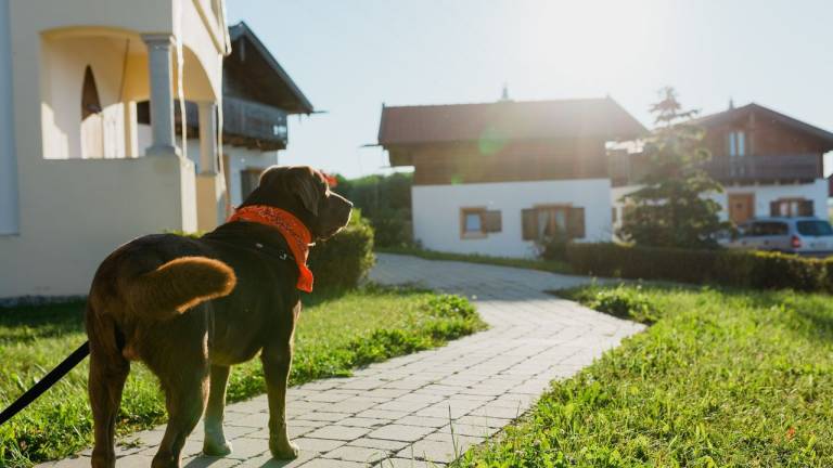 Ferienhaus Bayerbach