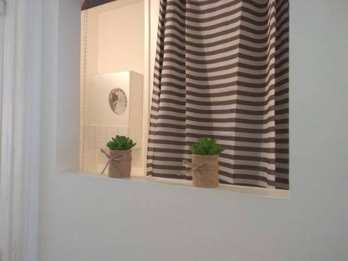 foto19