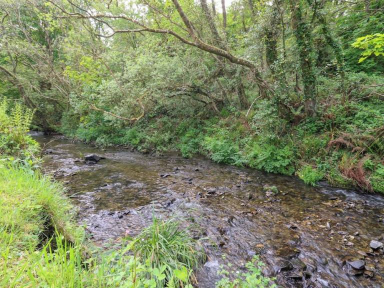 Cottage Nevern