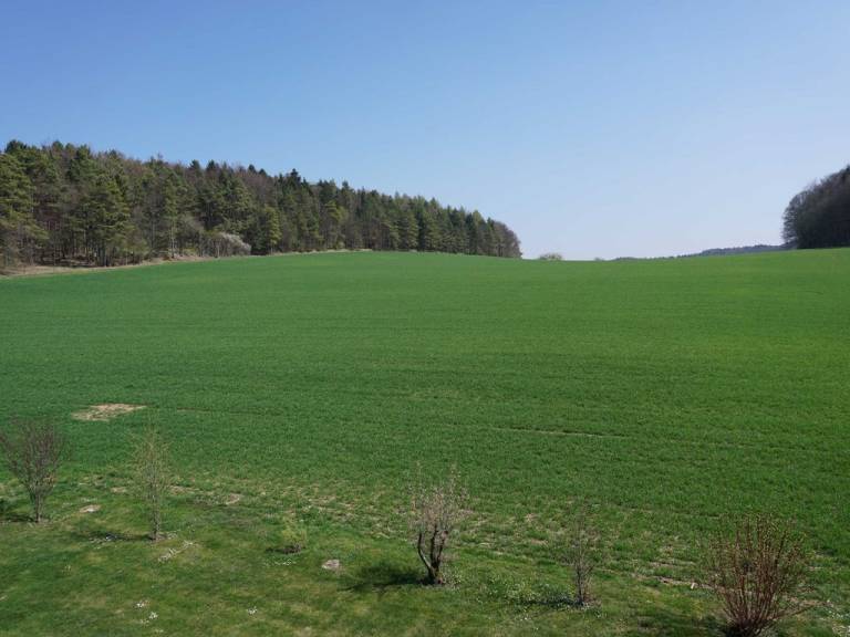 foto20