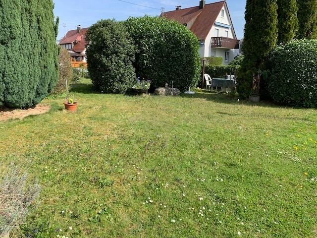 foto21