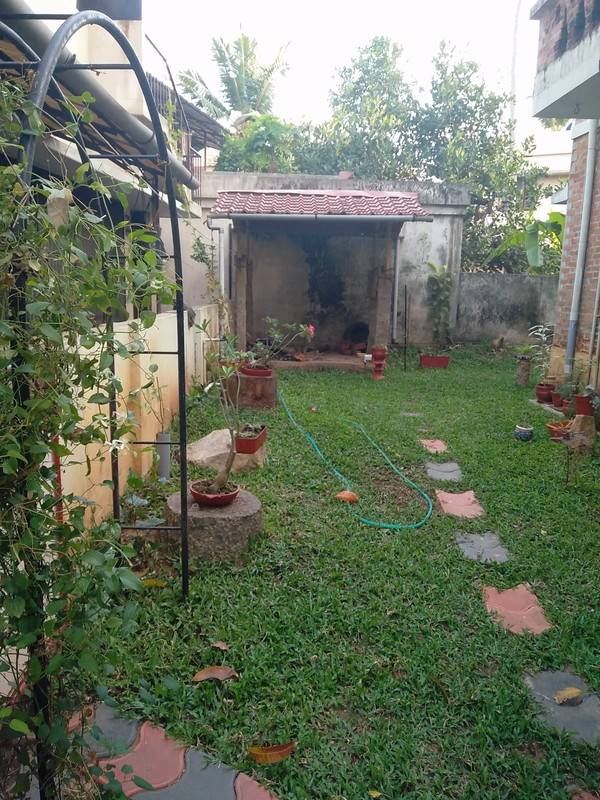 foto8
