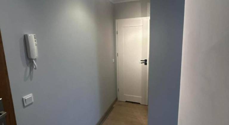 Nice holiday apartment | Pets are welcome — photo 3