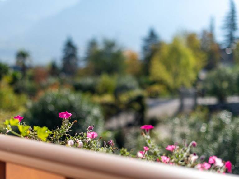 Ferienwohnung mit Hund in Tramin an der Weinstraße f&uuml;r max. 2 Personen