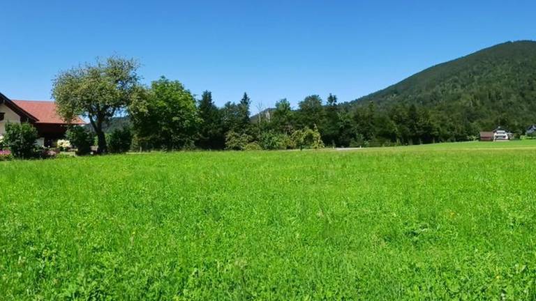 Ferienwohnung in Faistenau, Salzburger Land, Österreich