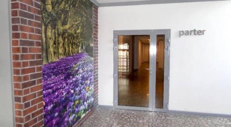 Pleasant apartment | Pet-friendly in Szczecin