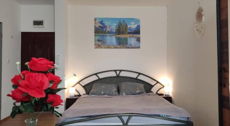 Apartment | Pets allowed in Opole
