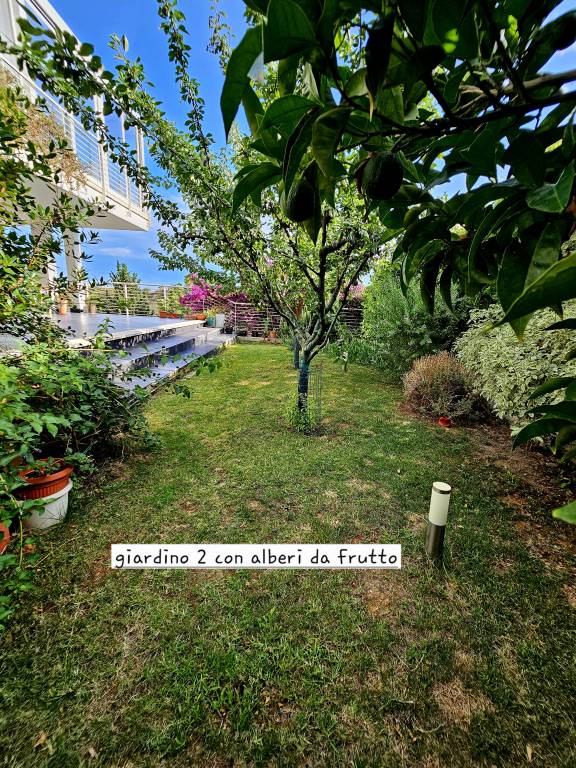 foto41