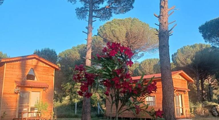 Lodge with patio, barbeque & yard — photo 5