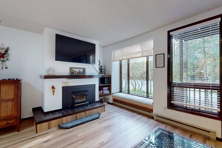 1 BR Mtn Apartment w Wood Fireplace & Pool