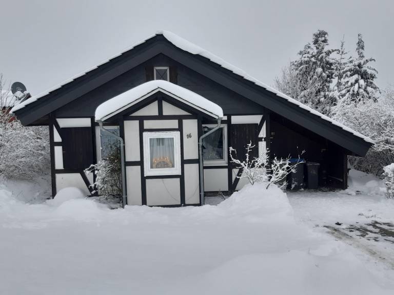 Children-friendly wonderful vacation home with patio, BBQ & yard | Mountain view | Pet-friendly — photo 4