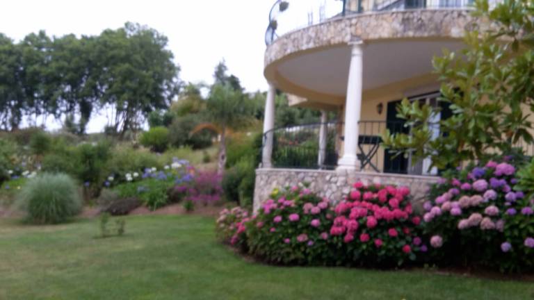 foto20