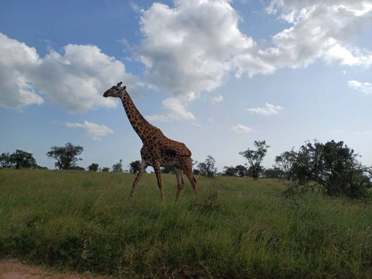Landhaus  Imara Daima